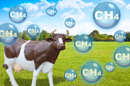 Cow farms produce methane gas which is released into the atmosphere - concept with brown and white plastic cow model and emission of CH4 methane particles in the airの写真素材