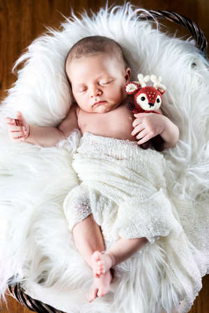 Portrait of a newborn baby boyの写真素材