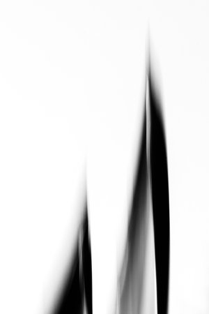 Motion blurred of branch of plants, vertical image. Balck and whiteの写真素材