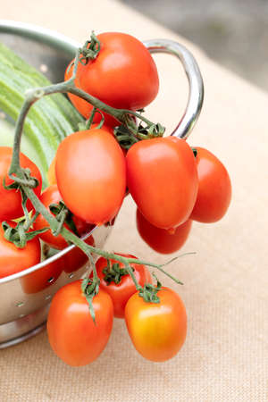 Fresh red tomatoes on a metal bowl on the table. Fresh vegetablesの写真素材