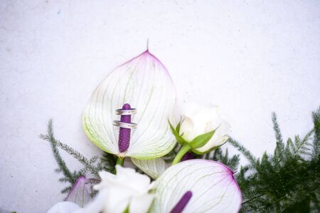 Gold and white gold wedding ringsの写真素材