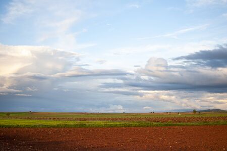 field landscape with clouds in the skyの写真素材