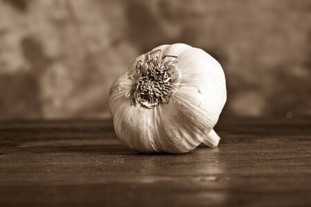 Garlicの写真素材