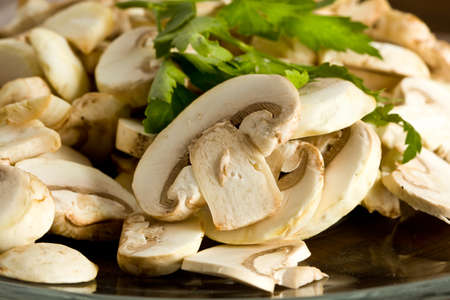 mushroomsの写真素材