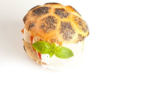Tomatoe Morrazella - Sandwichの写真素材