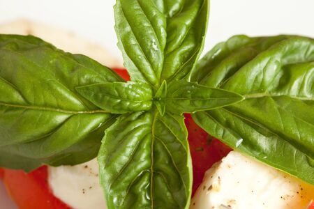 Tomatoe Morrazella - Capreseの写真素材