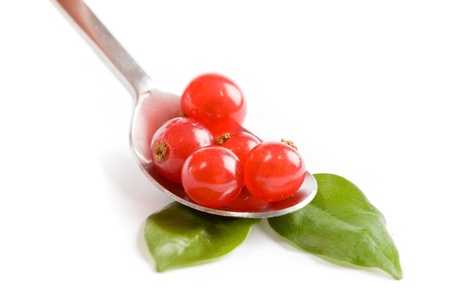 photo of currants on white backgroundの写真素材