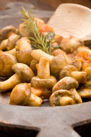 cooked mushrooms with fresh tomatoe and rosemaryの写真素材