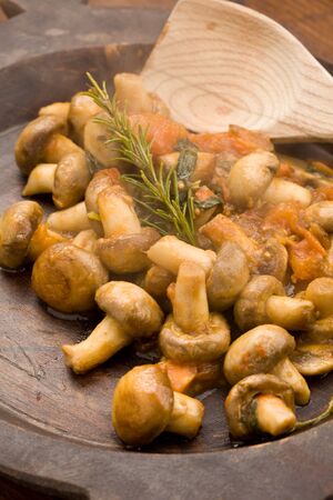 cooked mushrooms with fresh tomatoe and rosemaryの写真素材