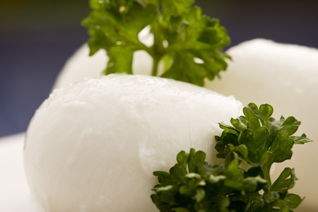 photo of delicious mozzarella cheese with parsleyの写真素材