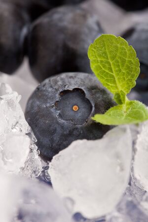photo of blueberries on ice with mint leavesの写真素材