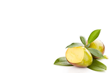 photo of tropical mango fruit with green leaves on white isolated backgroundの写真素材