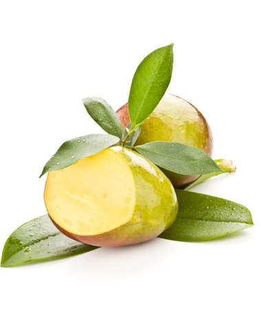 photo of tropical mango fruit with green leaves on white isolated backgroundの写真素材