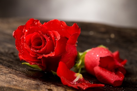 photo of red rose with water drops on wooden tableの写真素材