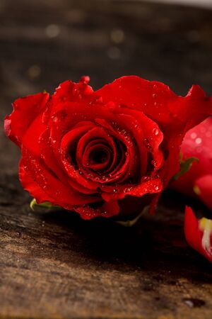 photo of red rose with water drops on wooden tableの写真素材