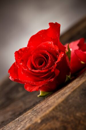 photo of red rose with water drops on wooden tableの写真素材