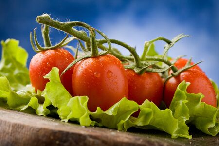 photo of red tomatoes with water drops over lettuce bedの写真素材