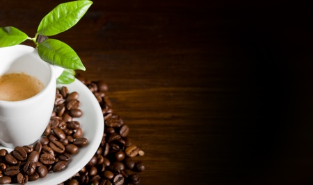 photo of espresso cup over coffee beans with green leavesの写真素材