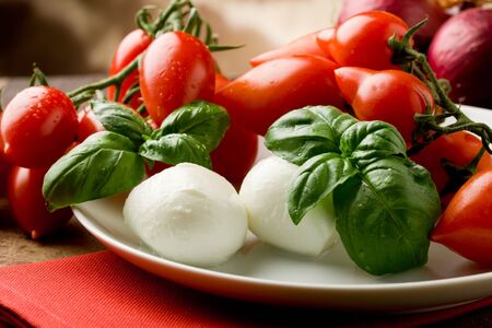 delicious tomatoe mozzarella salad with waterdrops on basil leavesの写真素材
