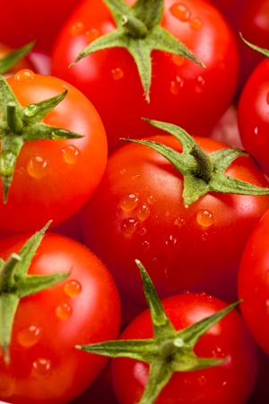 photo of very fresh tomatoes presented on white backgroundの写真素材