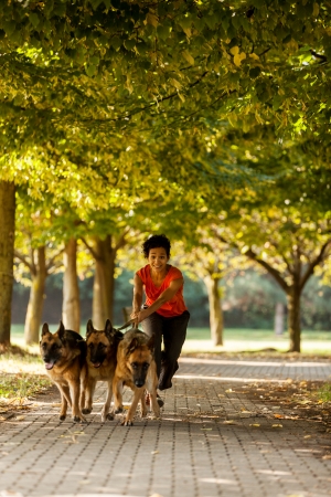 Photo of dog running woman with three german shepherdsの写真素材