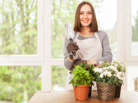 Caucasian young woman doing some gardening at home with her colorful plantsの写真素材