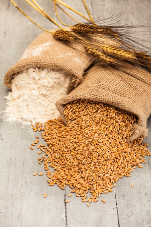 Photo of wheat grains and flour on the wooden tableの写真素材