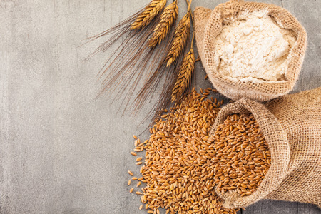 Photo of wheat grains and flour on the wooden tableの写真素材