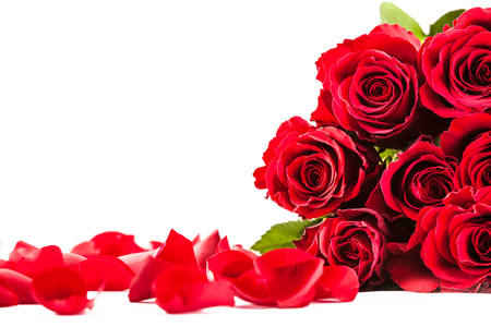 Photo of red roses and petals over white isolated backgroundの写真素材