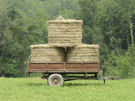 old wagon with hay on prairieの写真素材