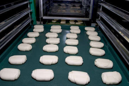 typical Italian bread baked organic farming
