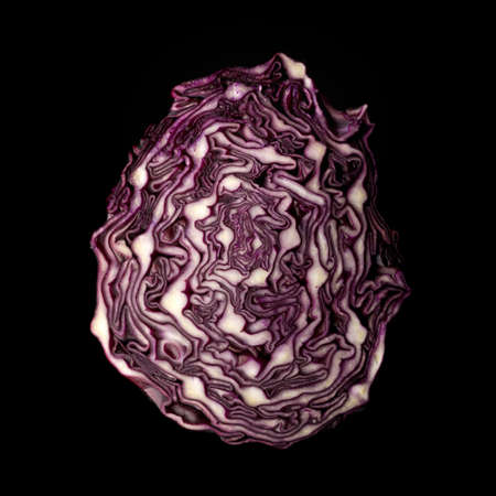 savoy cabbageの写真素材