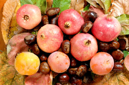 bouquet with autumn chestnuts, pomegranates, persimmons on a bed of leaves.の写真素材