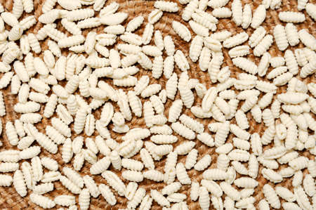 Homemade dumplings with flour made from durum wheat semolina.の写真素材