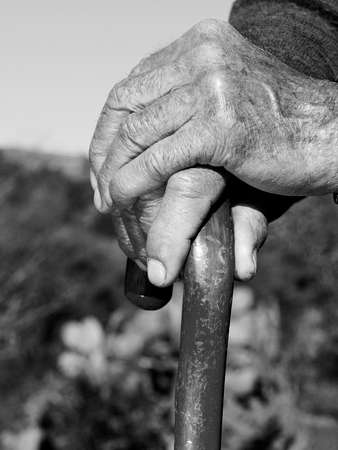 Black White picture of the hands of an old man that cling to the stick in search of supportの写真素材