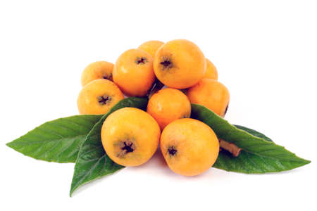 Medlars produced with organic cultivation photograph on a white backgroundの写真素材