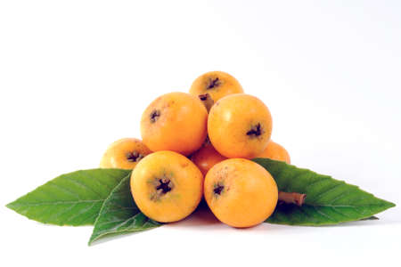 Medlars produced with organic cultivation photograph on a white backgroundの写真素材