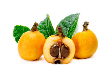 Medlars produced with organic cultivation photograph on a white backgroundの写真素材