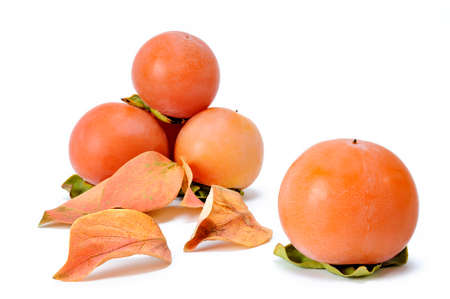 Close up of fresh persimmon and yellowed leaves isolated on white backgroundの写真素材