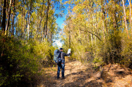 Hiker looking at the map on a forest trail on a beautiful autumn dayの写真素材