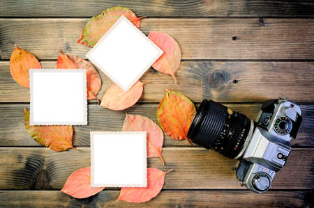 Top view of a 35mm camera, vintage photo and white space for text on background of leaves in a rustic wooden tableの写真素材
