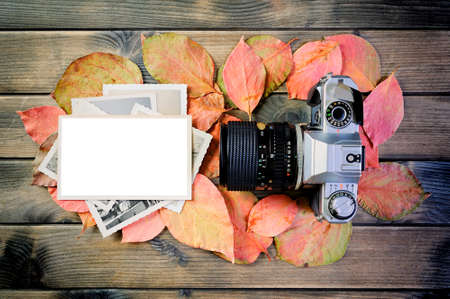 Top view of a 35mm camera, vintage photo and white space for text on background of leaves in a rustic wooden tableの写真素材