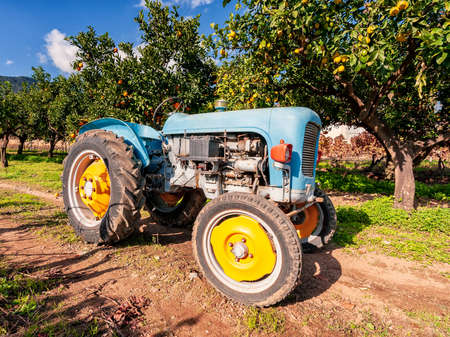 Image of an old tractor to cultivate the fields. Photographed between citrus trees and vinesの写真素材