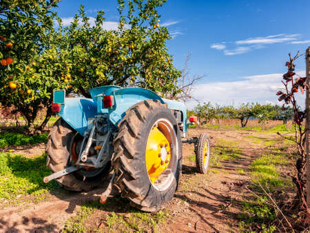 Image of an old tractor to cultivate the fields. Photographed between citrus trees and vines