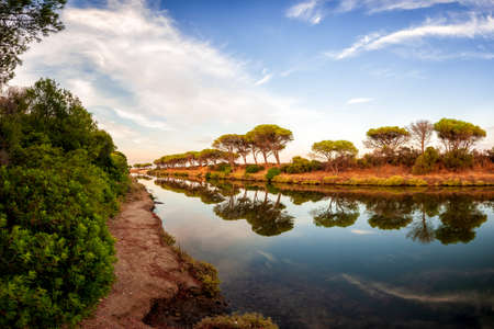 Beautiful landscape of a pond with the reflection of the trees and the sky on the water. Petrosu pond, Orosei. Sardinia.の写真素材