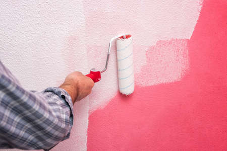 Caucasian house painter worker, painting the pink wall with white paint using the roller. Construction industry. Work safety.の写真素材
