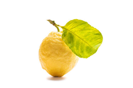 Close up of ripe lemons with leaves on white background. Healthy nutrition. Health.の写真素材