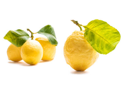Close up of ripe lemons with leaves on white background. Healthy nutrition. Health.の写真素材