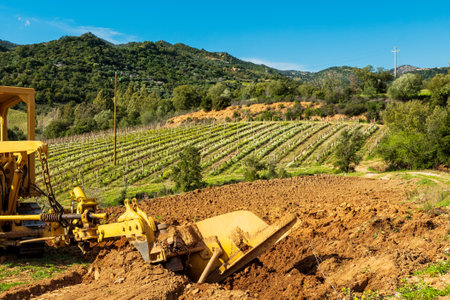 Farmer tills the soil with a heavy crawler tractor for planting a new vineyard. Agricultural industry, winery.の写真素材