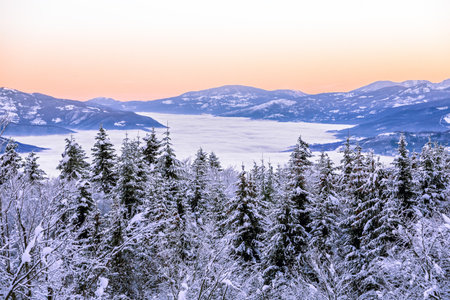 Scenic view of snowed forset against a valley above the sea of fog during a mystic sunrise, Passo delle Cento Croci, Liguria, Italyの写真素材